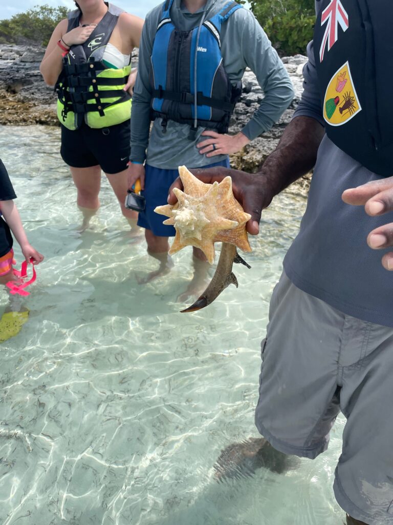 A conch seen on our clear kayak tour