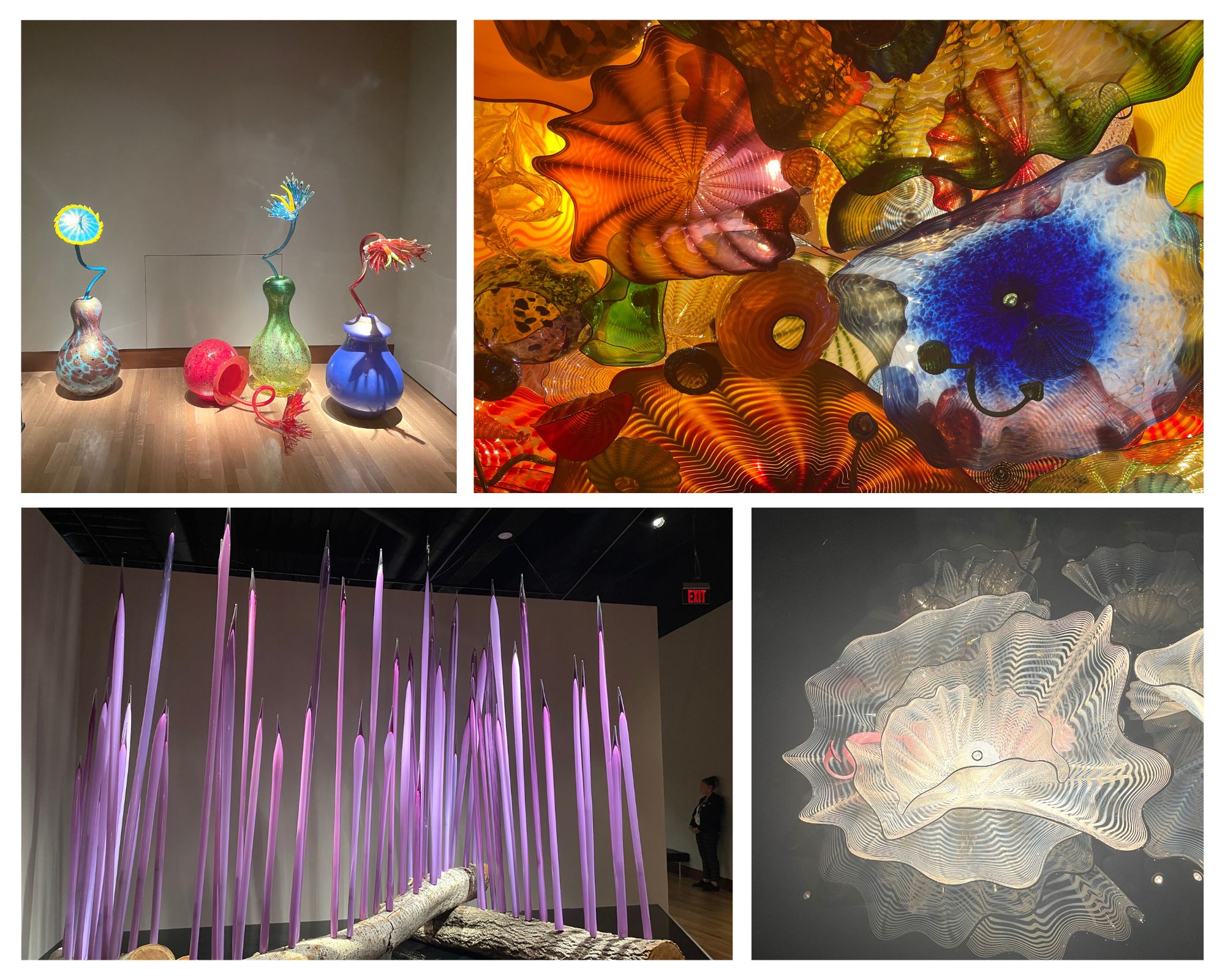 Dale Chihuly sculptures at the Oklahoma Museum of Art
