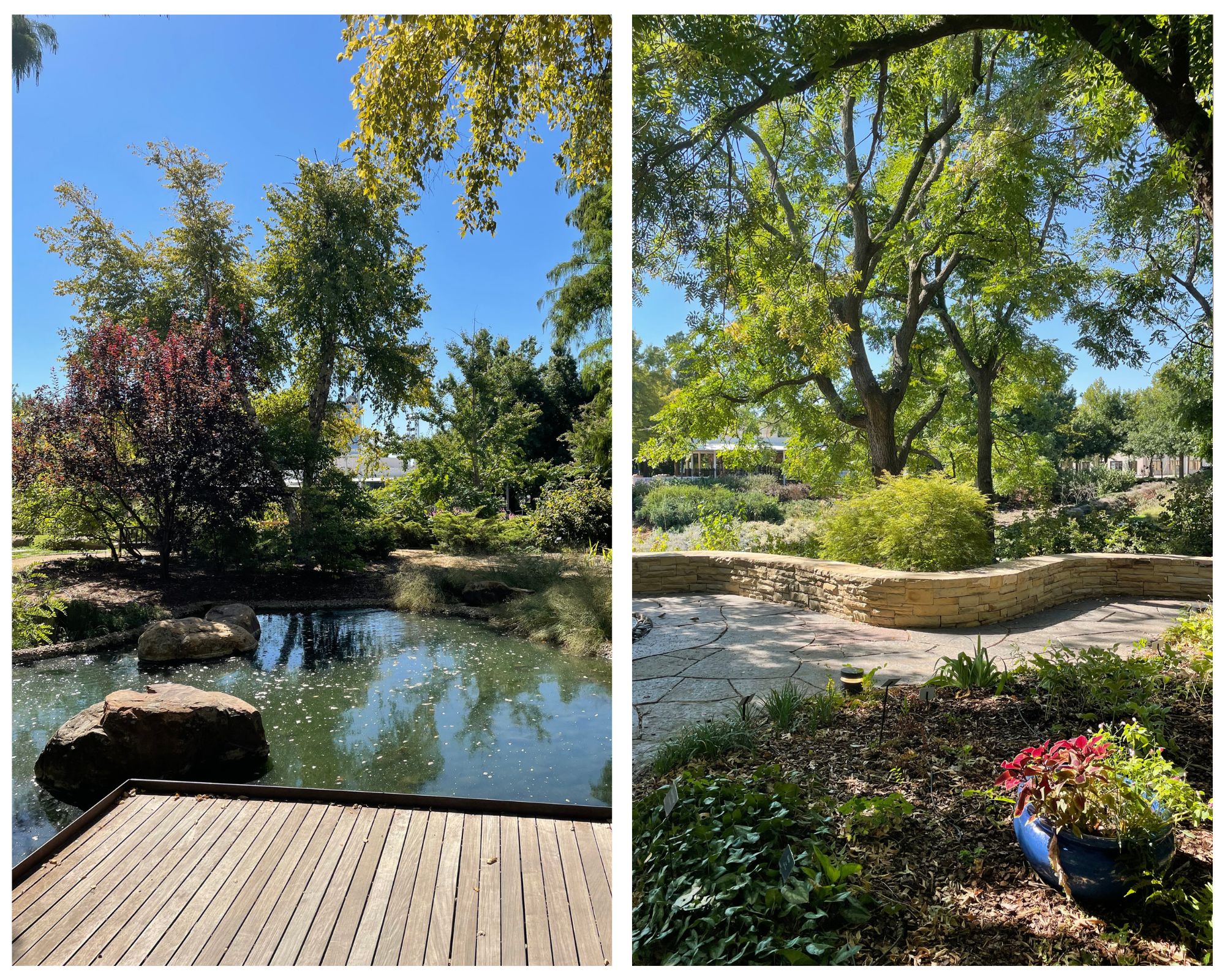 Myriad Botanical Gardens in Oklahoma City