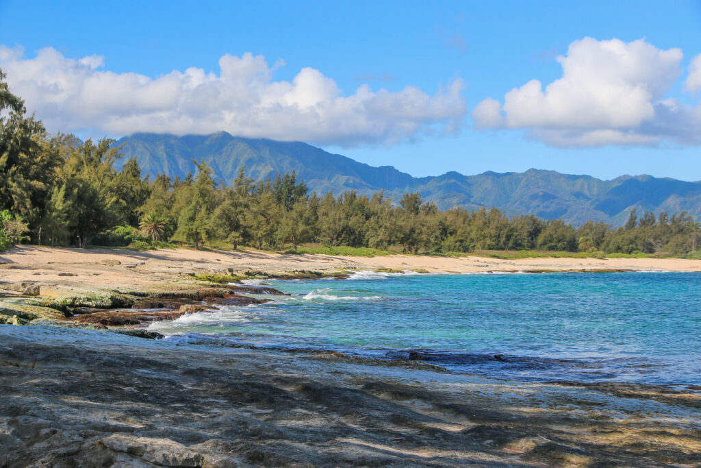 Papa'iloa Beach, a great beach to visit on Oahu with little kids because of the tide pools with sea life