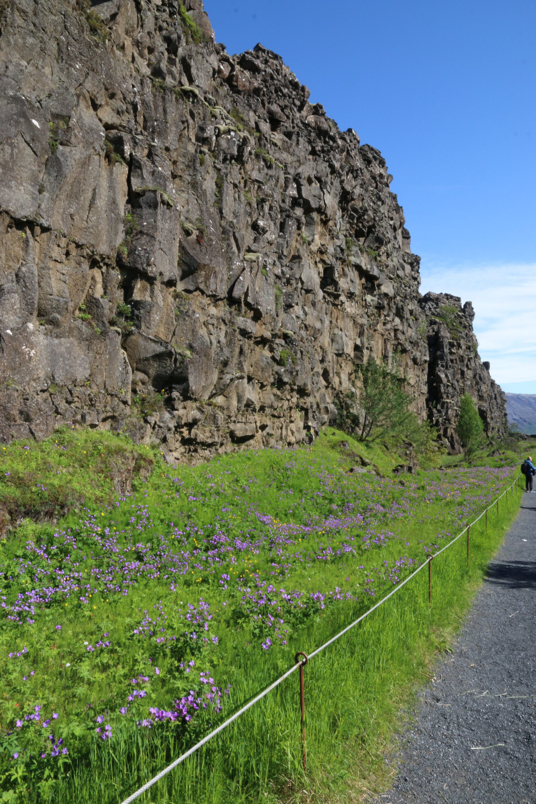 IMG_4295* Rock formations in Thingvellir National Park