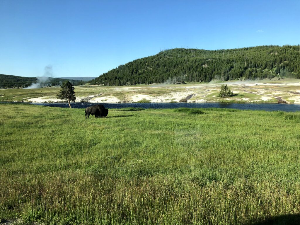 Yellowstone National Park, another of the many US national parks that make great summer vacation destinations for families