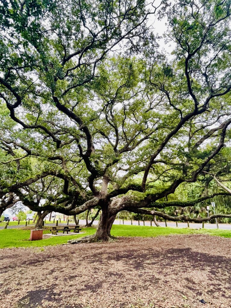 St. Augustine, Florida is a great place for families to travel over summer break