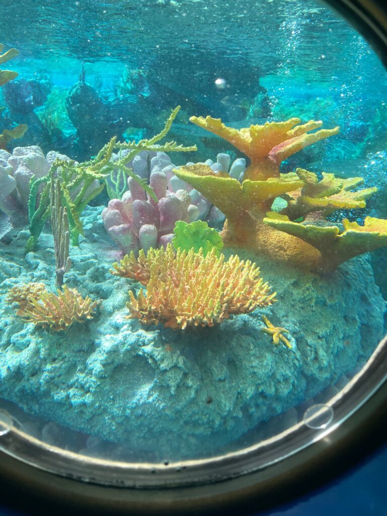 Finding Nemo Submarine Voyage at Disneyland