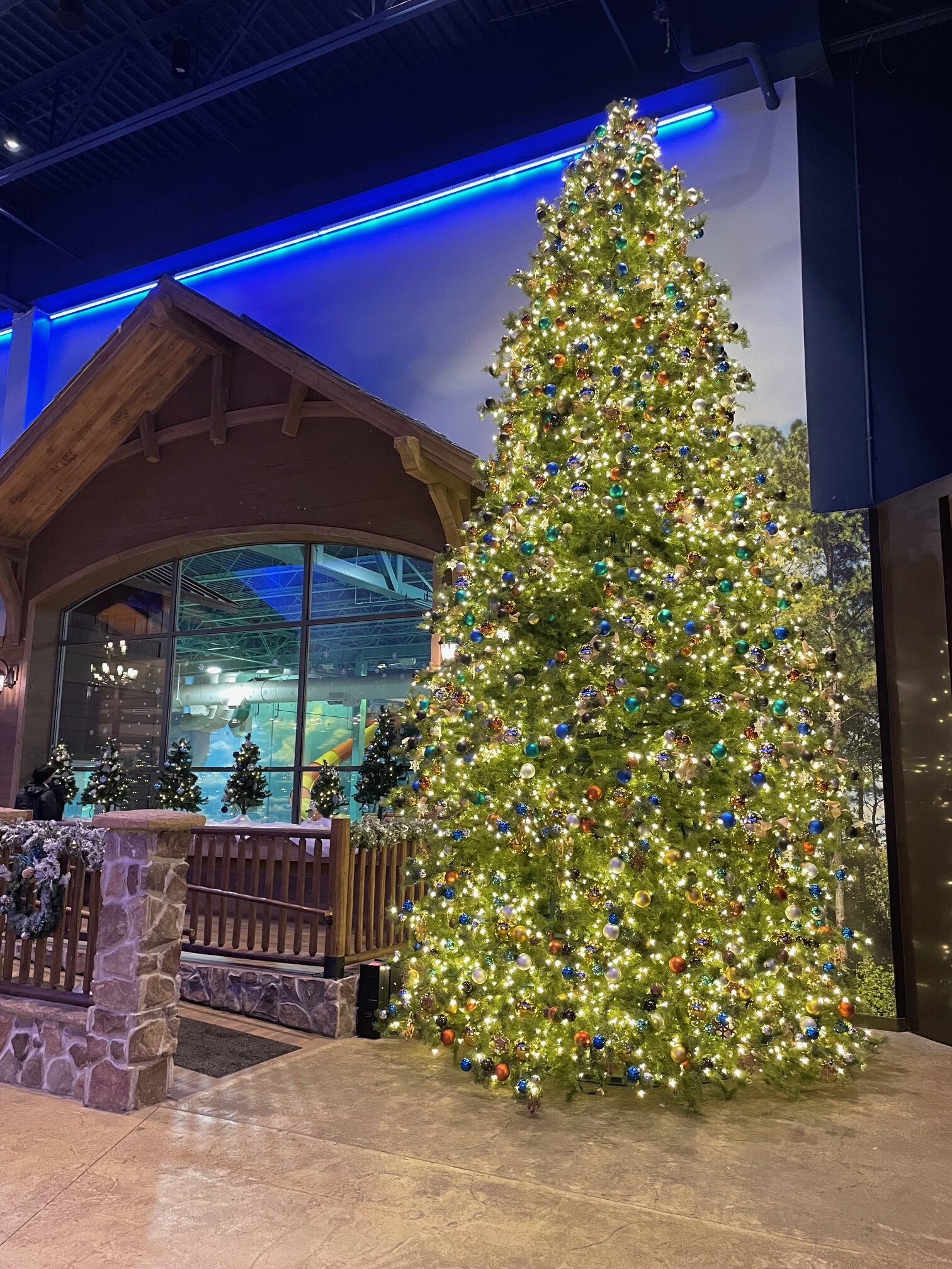 Great Wolf Lodge decorated for Christmas ("Snowland")