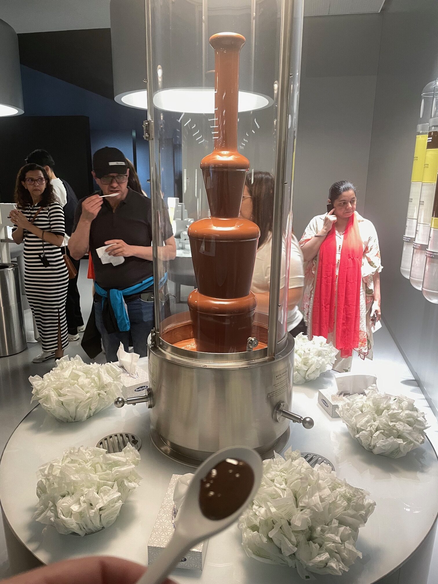 IMG_7397 Chocolate fountain at Lindt home of chocolate