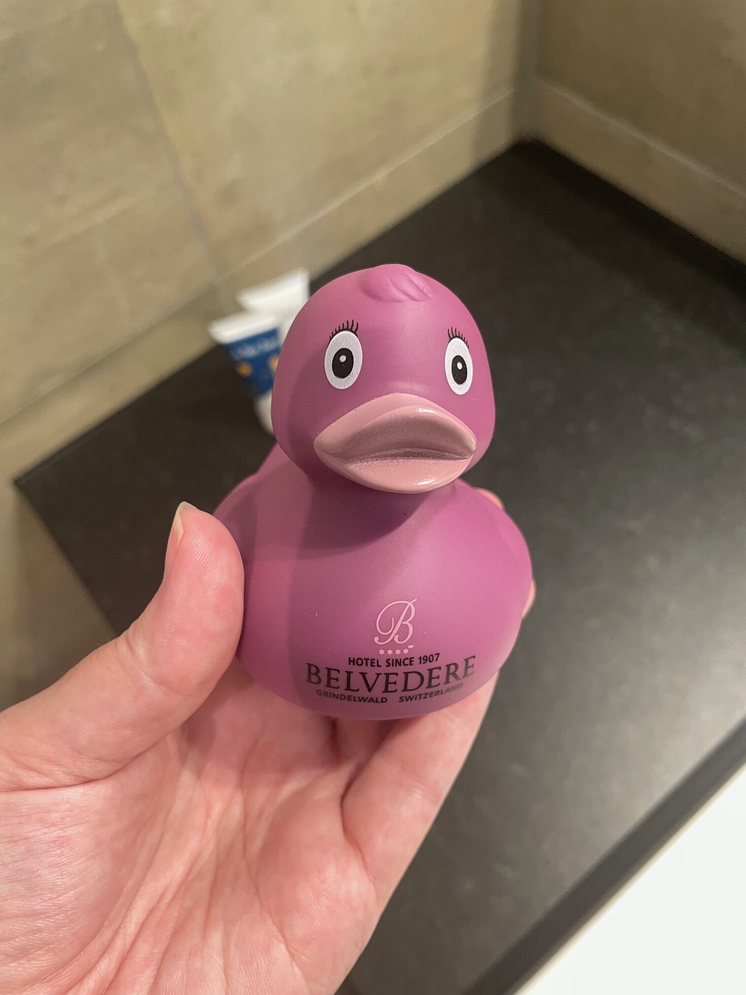 Hotel Belvedere rubber ducky