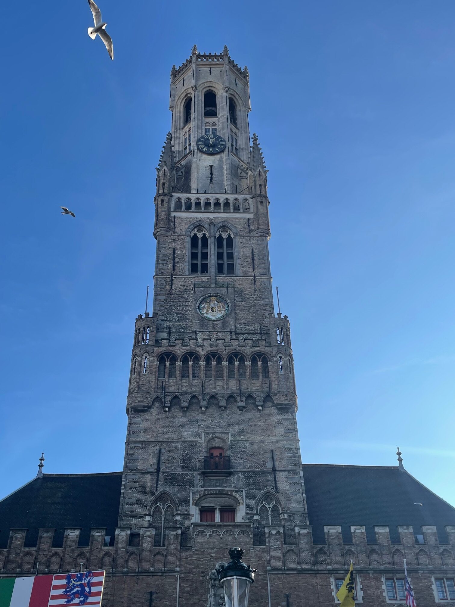 IMG_1346 Bruges' Belfort, an iconic landmark of the city dating back to the 1200s. Climbing to the top is one of the best things to do in Bruges.