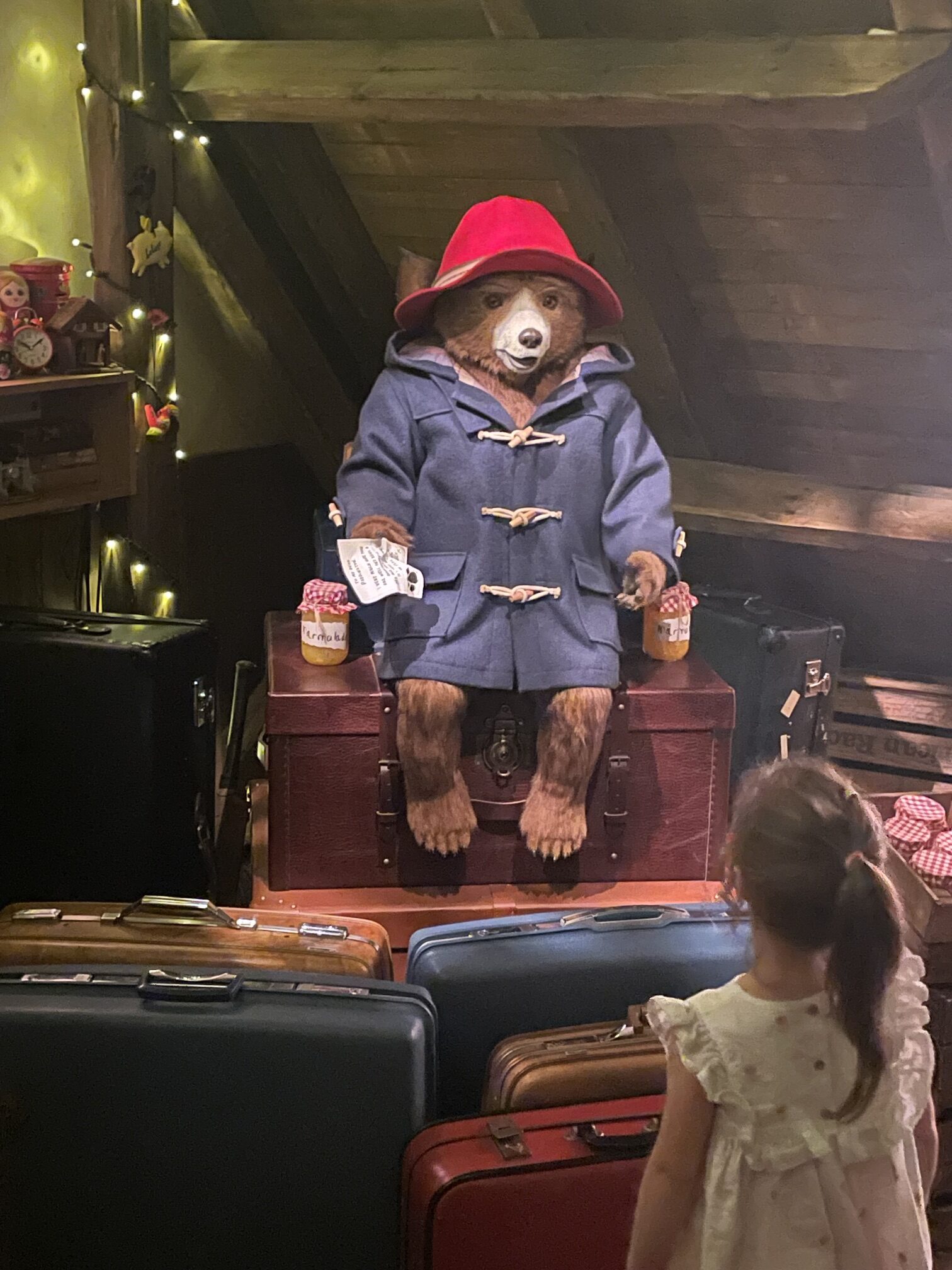 Searching for Paddington in Peru during the Paddington Bear Experience