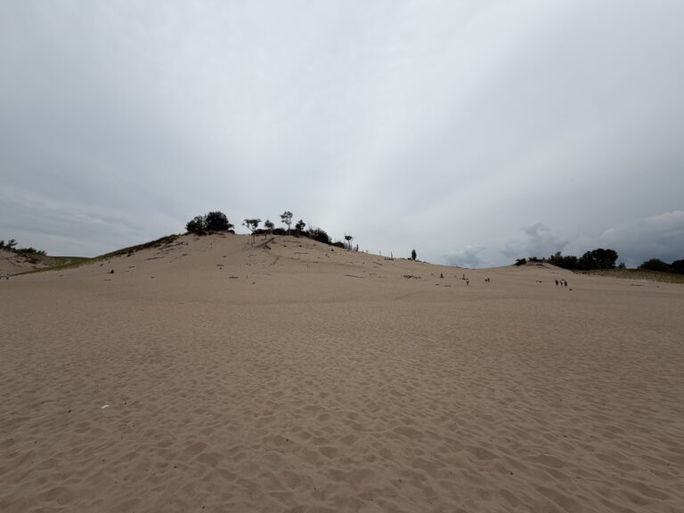 Impressive sand dunes at Warren Dunes State Park