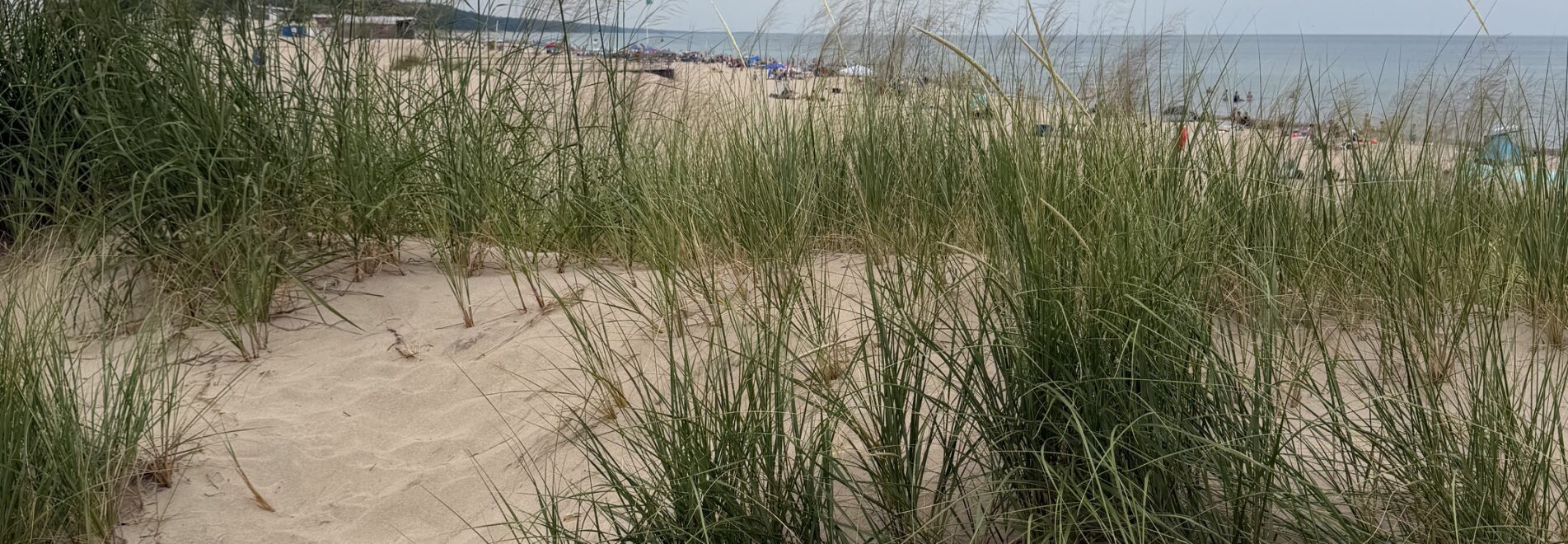 Warren Dunes State Park