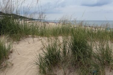 Warren Dunes State Park