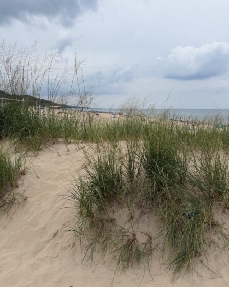 Warren Dunes State Park