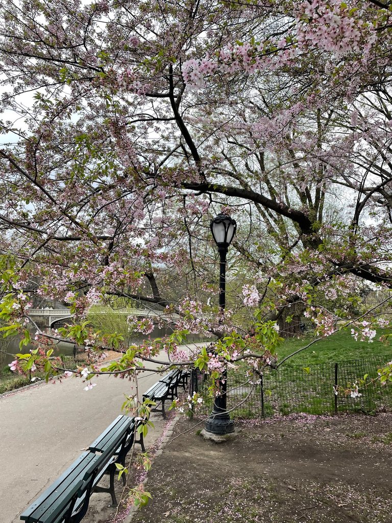 New York City is beautiful in April