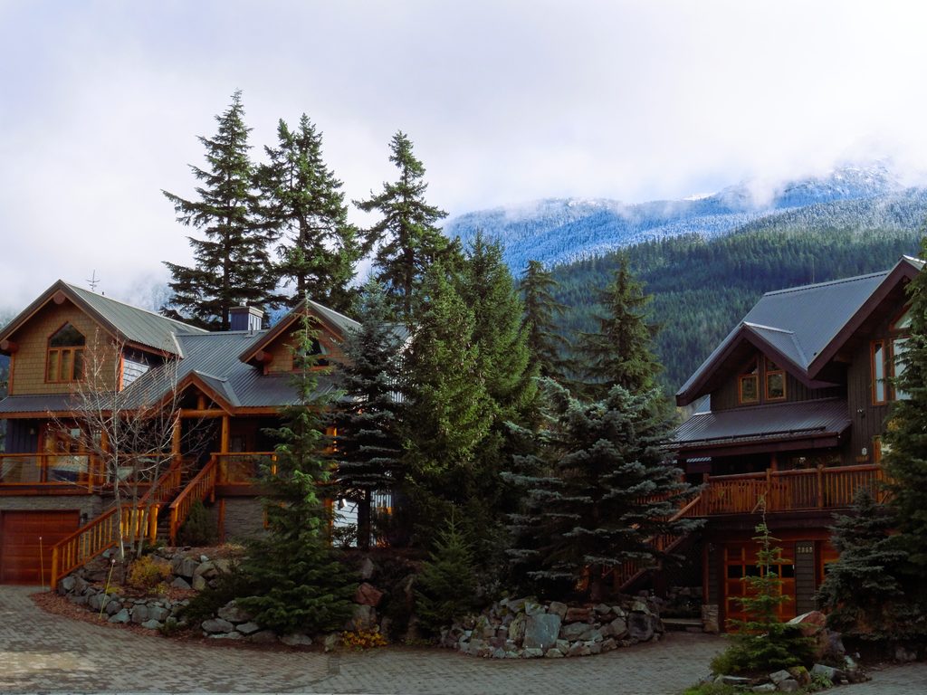 Spring in Whistler is a great time to see bears